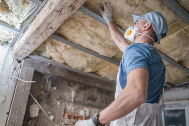 Best Insulation for Specific Applications in Whitestown, IN